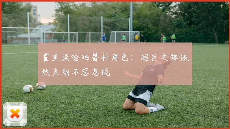 霍里谈哈珀替补角色：超巨之路依然光明不容忽视