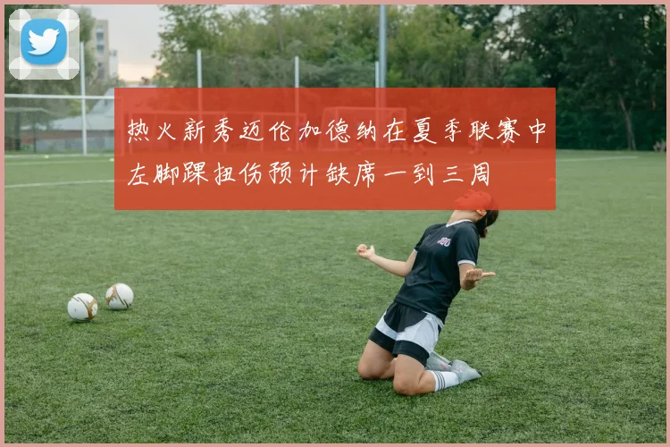 热火新秀迈伦加德纳在夏季联赛中左脚踝扭伤预计缺席一到三周