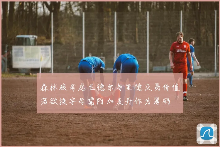 森林狼考虑兰德尔与里德交易价值若欲换字母需附加麦丹作为筹码